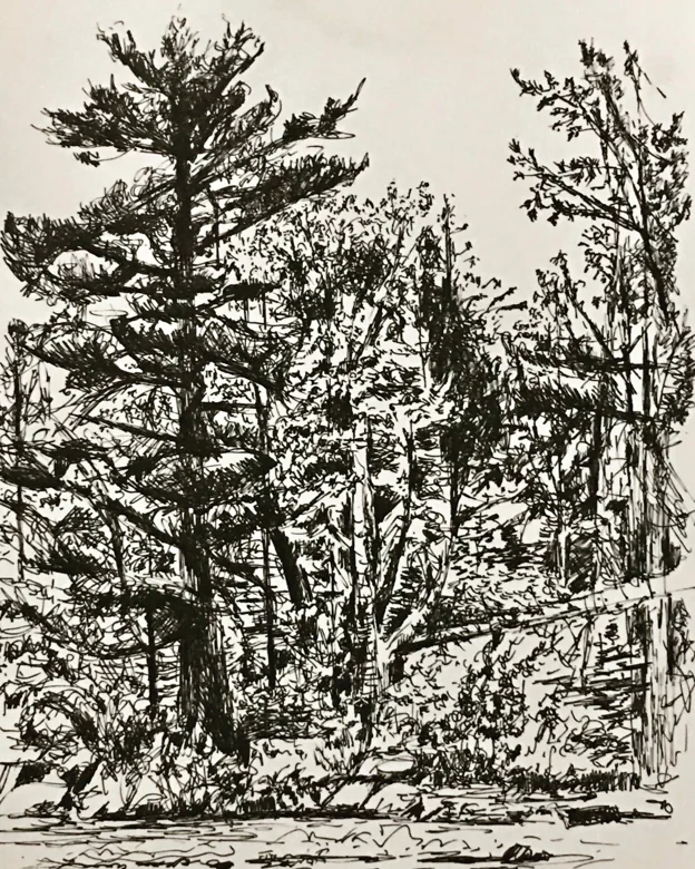 Across the Oxbow, by Jane Haycock